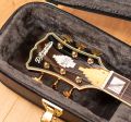 D'Angelico Excel DC XT Iced Tea Burst, Quilted Maple