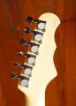 Fret King Esprit 3 White