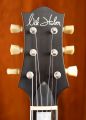 Nik Huber Krautster II Custom Silverburst