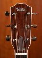 Taylor Legacy 810e