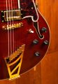 D'Angelico Excel DC Viola