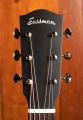 Eastman E6 LGSS Thermo-Cure Sunburst