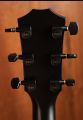 Taylor 214ce Special Edition Transparent Grey