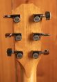Taylor 214ce African Ziricote Plus Special Edition