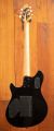 Peavey HP-2 Poplar Burl Series - Van Halen Natural - Floyd