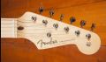 Fender Ed O'Brien EOB Stratocaster OWT