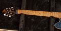 Peavey HP-2 Poplar Burl Series - Van Halen Trans Blue - Floyd
