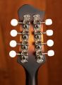 Eastman MD305E Sunburst