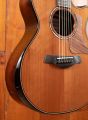 Taylor 812ce Builder's Edition LTD