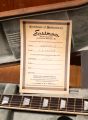 Eastman SB58/TV LTD Sunburst