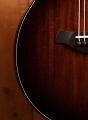 Taylor 524ce Builder's Edition