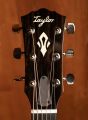 Taylor 517e Gold Label Natural