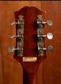 Epiphone FT-200 Frontier