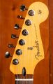 Fender Player II Stratocaster RW Polar White