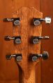 Taylor Legacy 810e