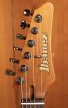 Ibanez AZ2204N Ivy Green Metallic Flat