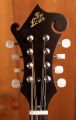The Loar LM-310F Brown Sunburst