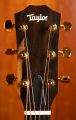 Taylor 224ce-K DLX Shaded Edgeburst