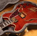 D'Angelico Excel DC Viola