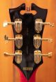 D'Angelico Excel DC Stopbar Trans Cherry