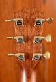 Taylor 812ce Builder's Edition LTD