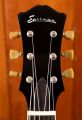 Eastman T60/TV Sunburst