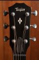 Taylor 524ce Builder's Edition