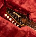 Ibanez Prestige S2170FB
