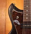 Novo Serus J Nucleus Bull Black