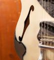 James Trussart Deluxe Steelcaster HB Bigsby Cream on Black Roses