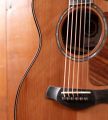Taylor 812ce Builder's Edition LTD