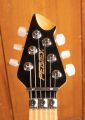Peavey HP-2 Poplar Burl Series - Van Halen Natural - Floyd