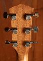 Taylor 517e Gold Label Natural