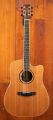Lakewood D-53 Custom with Cutaway