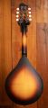 Eastman MD305E Sunburst