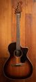 Fender Newporter Special Honey Burst