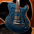 Nik Huber Rietbergen "Blue Whale" Limited Edition 7/25 Brazilian Rosewood Neck
