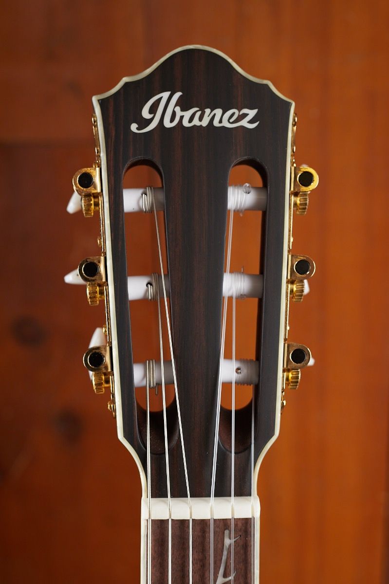 Ibanez TOD10N Transparent Black Flat Tim Henson Signature