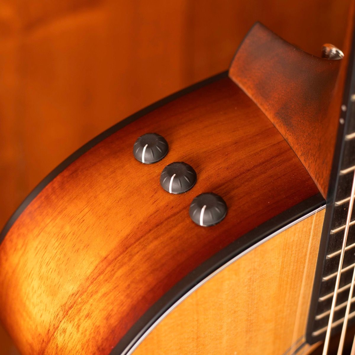Taylor 314ce LTD Koa – Acoustic Guitar | Max Guitars