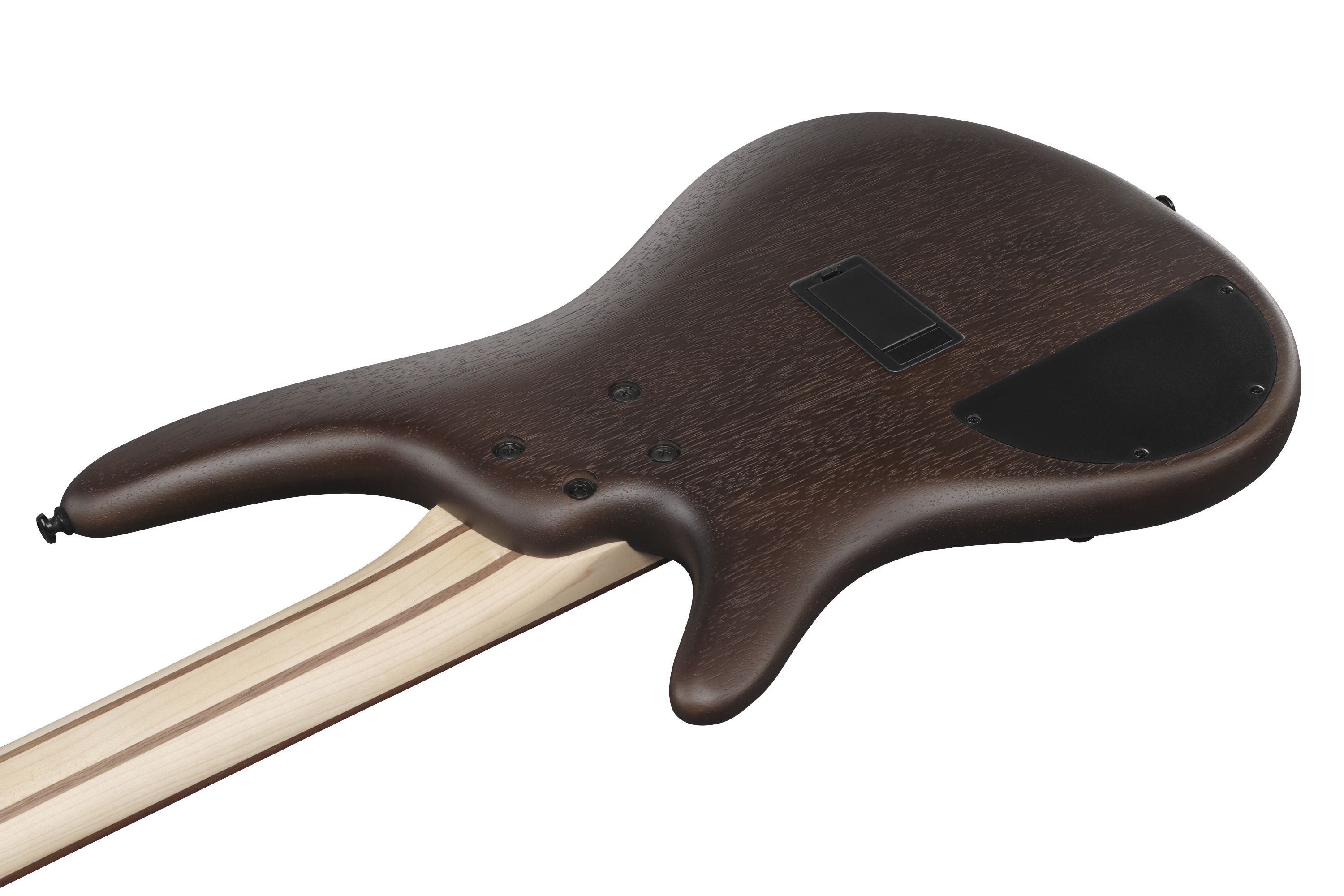 Ibanez SR305EB Walnut Flat – Bass Guitar | Max Guitar