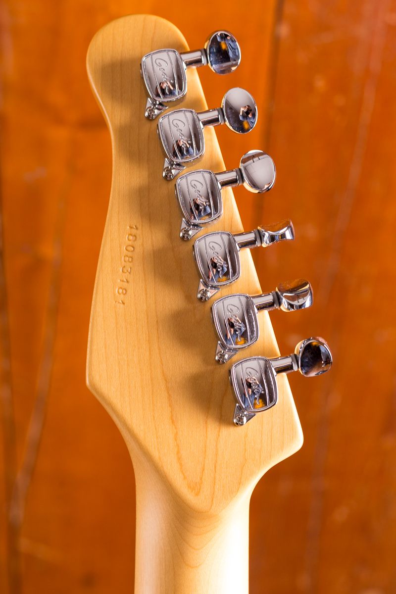 Session LTD Rosewood - Godin - Max Guitar