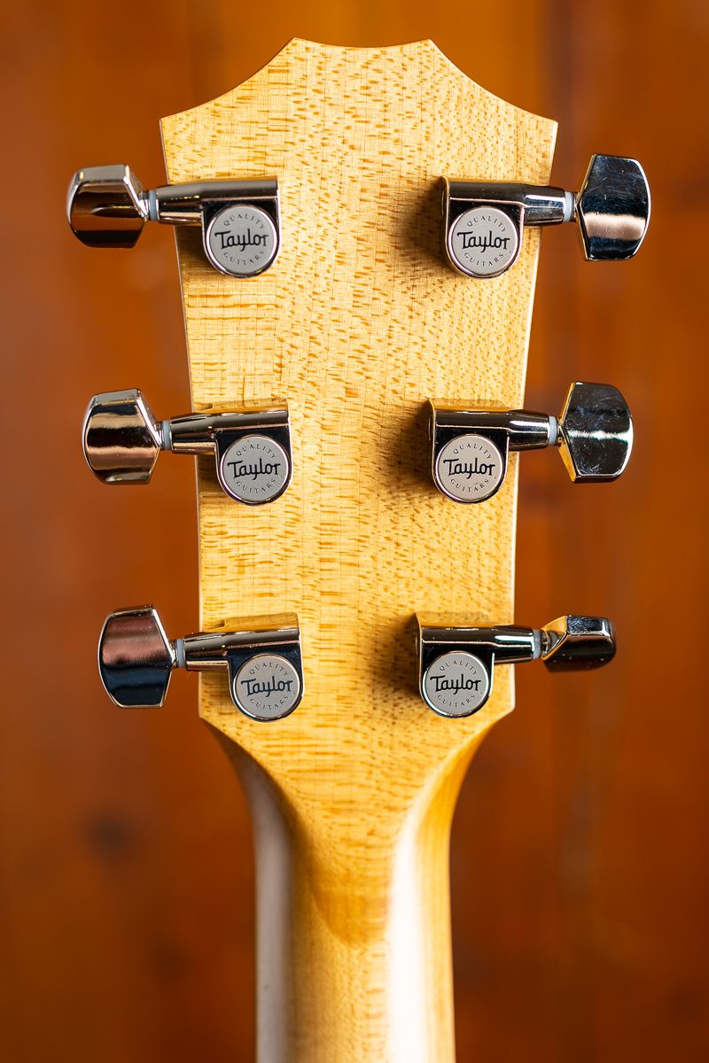 618e V-Class - Taylor - Max Guitar
