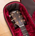 Taylor 217e-SB Plus 50th Anniversary