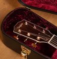 Taylor Legacy 810e