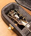 D'Angelico Excel DC Viola