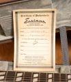 Eastman T59/TV-B Truetone Vintage Black LTD
