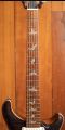 PRS Paul's Guitar Purple Mist