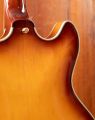 D'Angelico Excel DC XT Iced Tea Burst, Quilted Maple