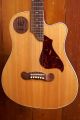 Gibson Traveling Songwriter, Antique Natural (2005)