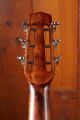 Eastman DM1L-CLA